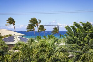 A view of a beach with palm trees and solar panels.