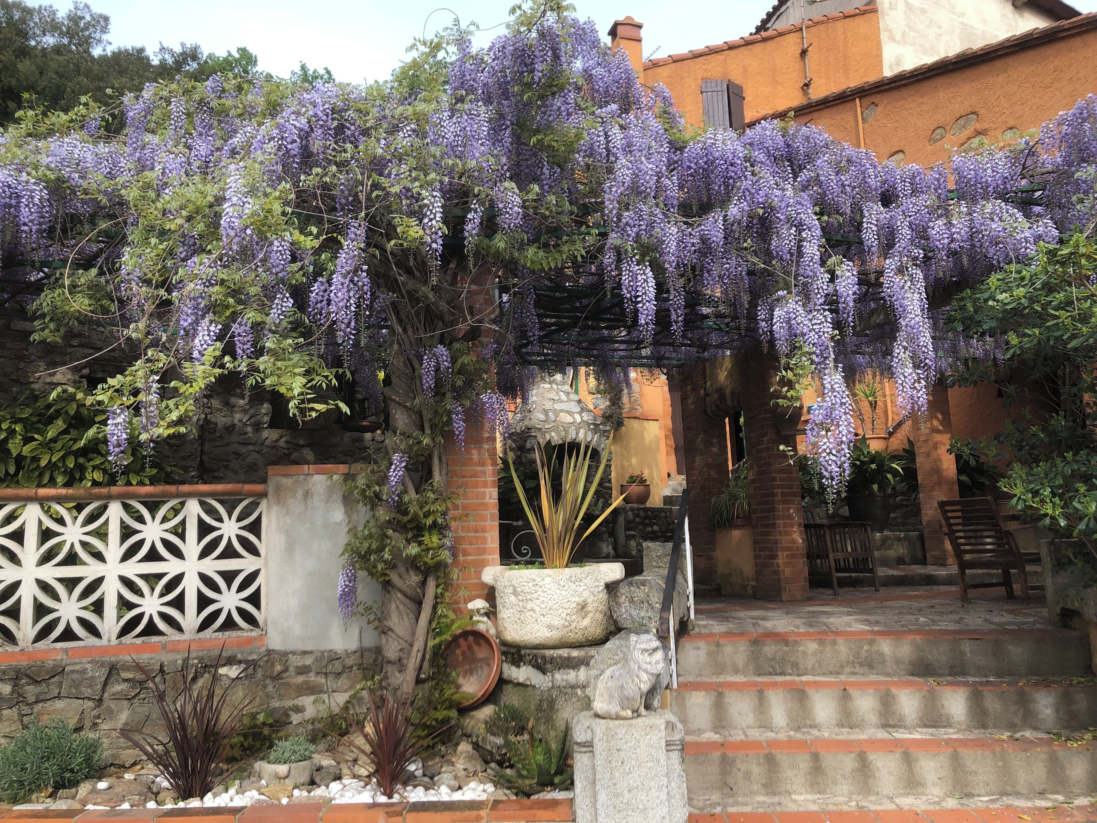 المنطقة المحيطة بالمنشأة