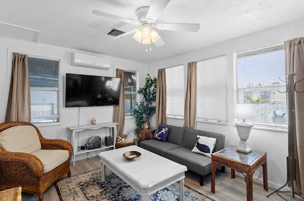 TV - The REEL Retreat - Home in Steinhatchee (Steinhatchee)