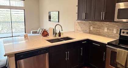 The Houston Skyline Suite Luxury 1BR and balcony in Heart of Downtown !