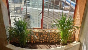 A window with a stone ledge and two potted plants. - Kom Shot 38 (Cancún)