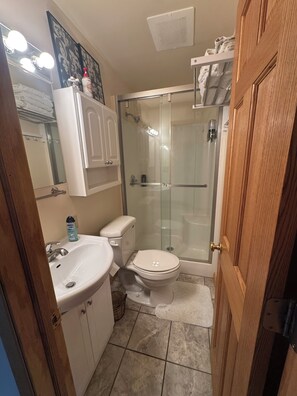 Shower, hair dryer, towels, soap - Cozy 1-bedroom house in the woods of beautiful Martinsville (Martinsville)