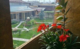 Vista de un patio con un ave blanca, un árbol y flores rojas.