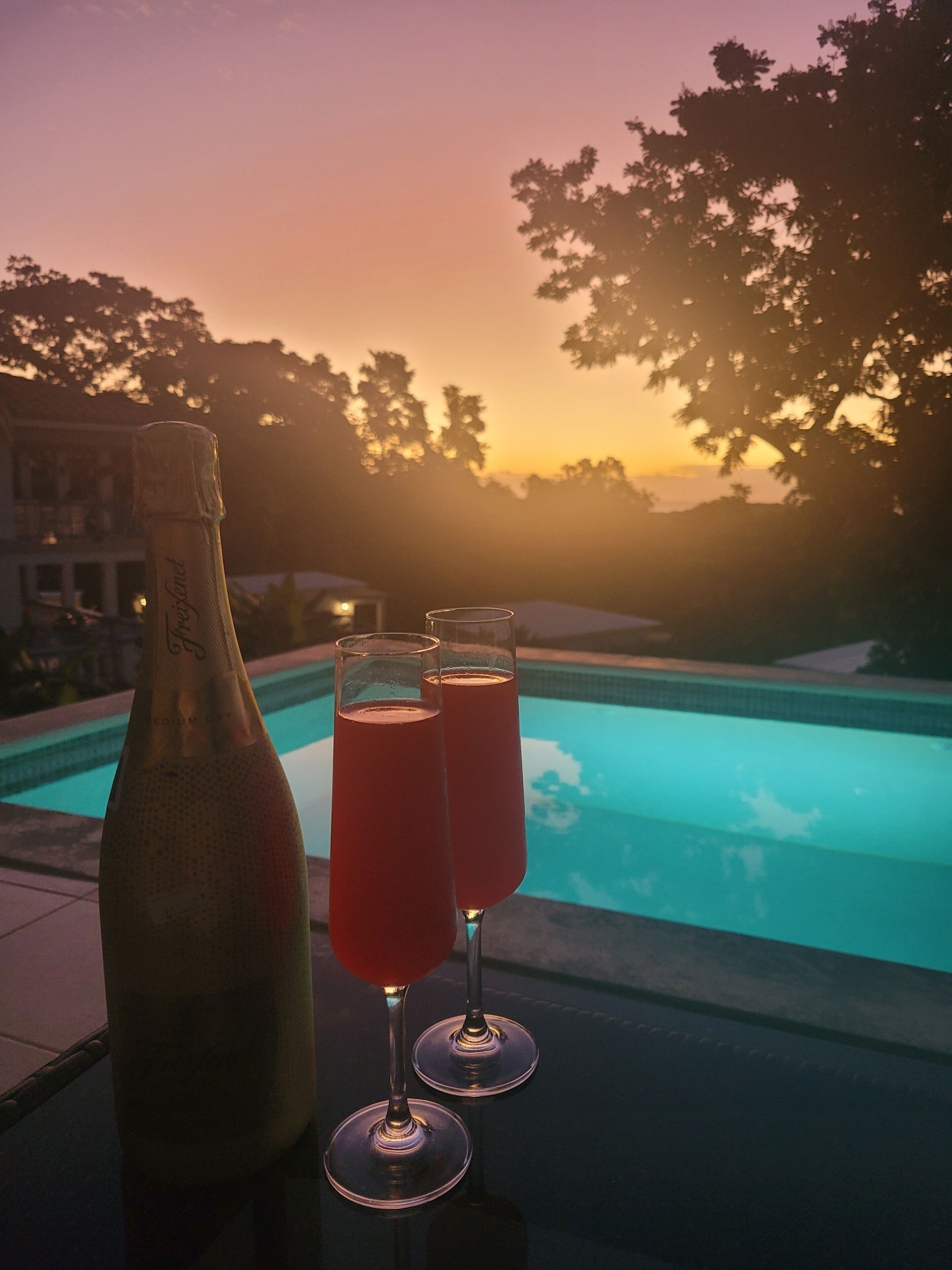 A bottle and two glasses of red liquid on a poolside table with a pool and trees in the background.