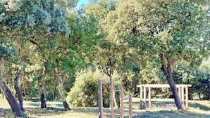 An outdoor area with trees and a wooden pergola structure. - Côté Terrasses, 4 pers Piscine à Calvisson (Calvisson)