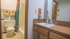 Hair dryer, towels, soap, toilet paper