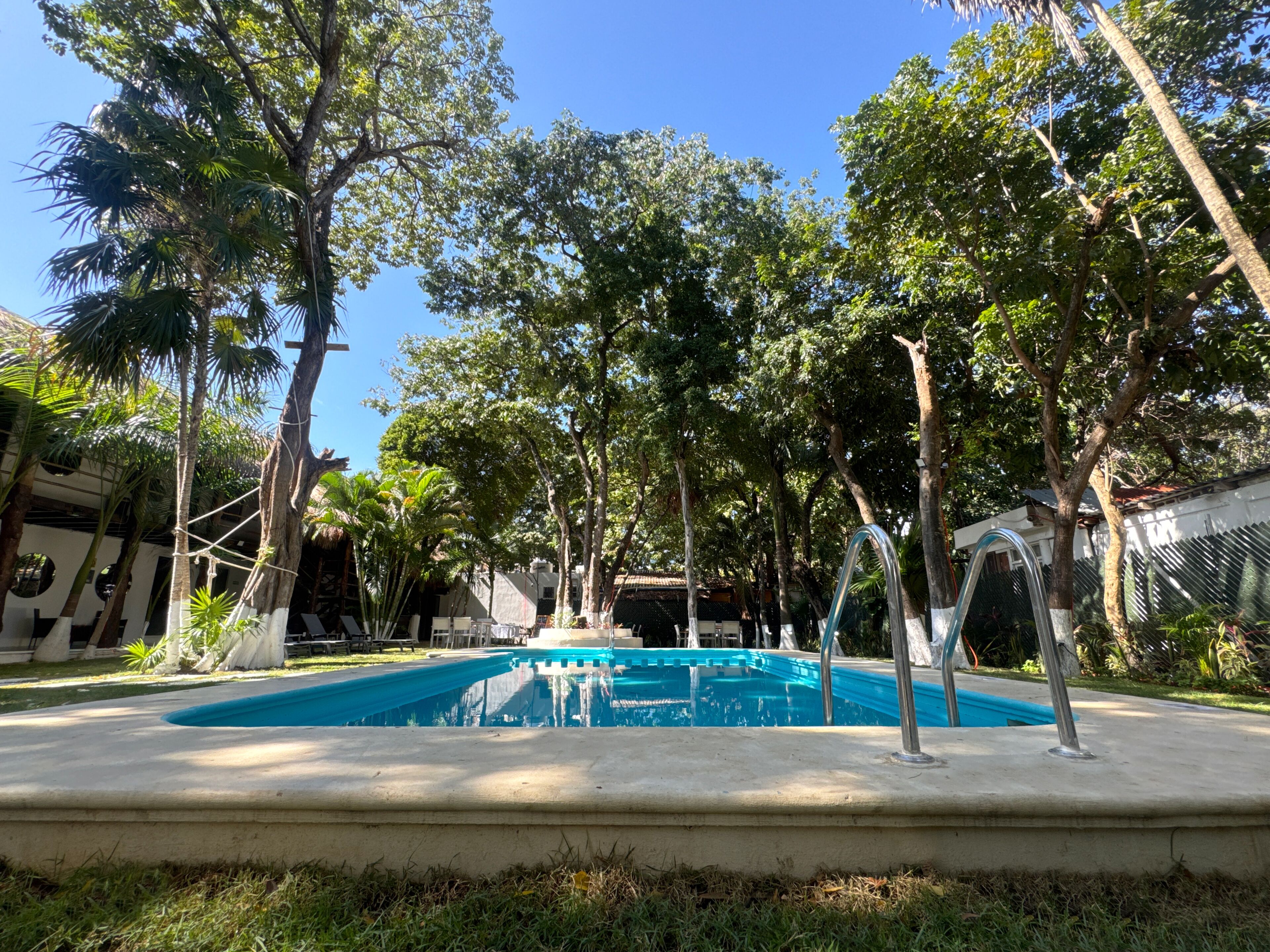 Una piscina rodeada de árboles y un edificio con fachada blanca.