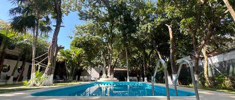 A swimming pool surrounded by trees and a building with a white facade.