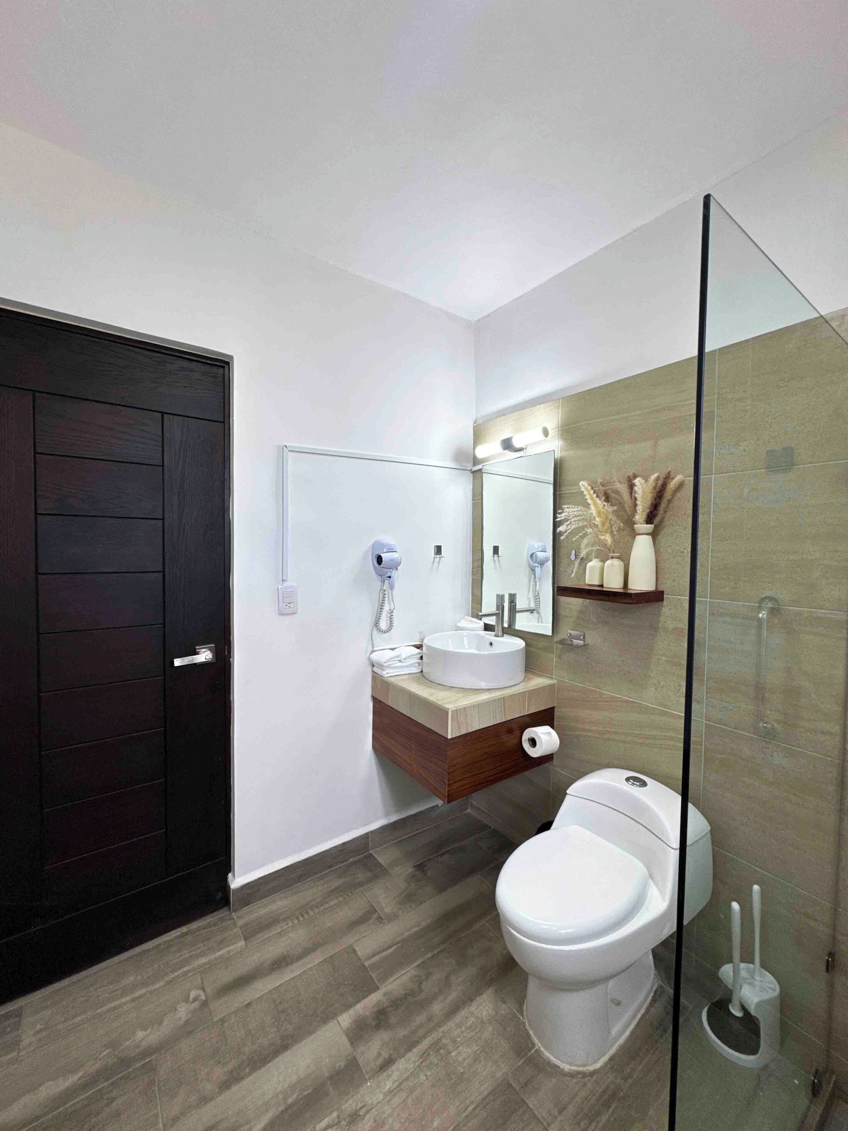 A modern bathroom with a dark wooden door, a white sink with a mirror above it, a toilet, and a glass shower enclosure.