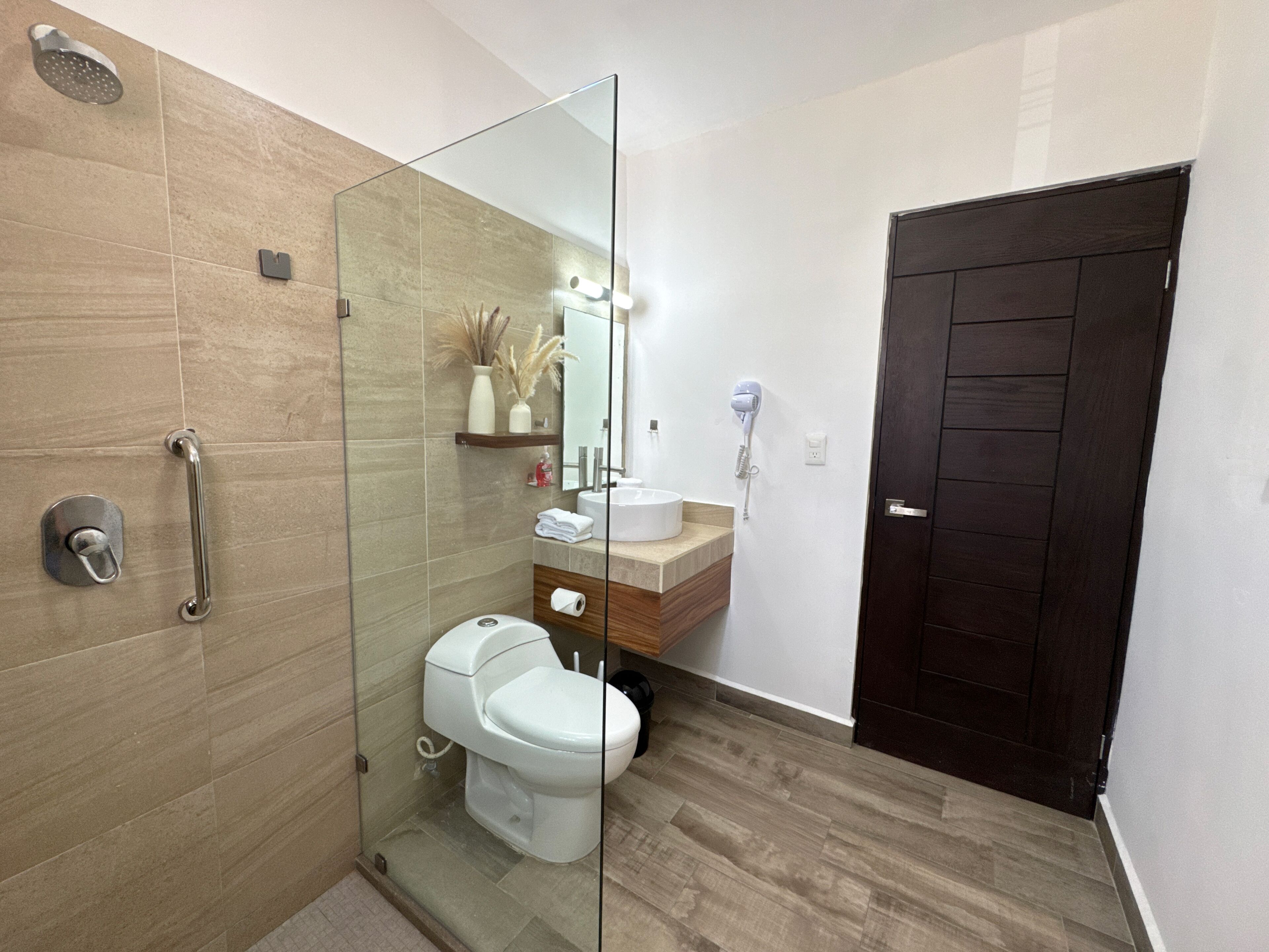 Une salle de bain moderne avec une douche à parois de verre, des toilettes, un lavabo avec un miroir et une porte en bois foncé.