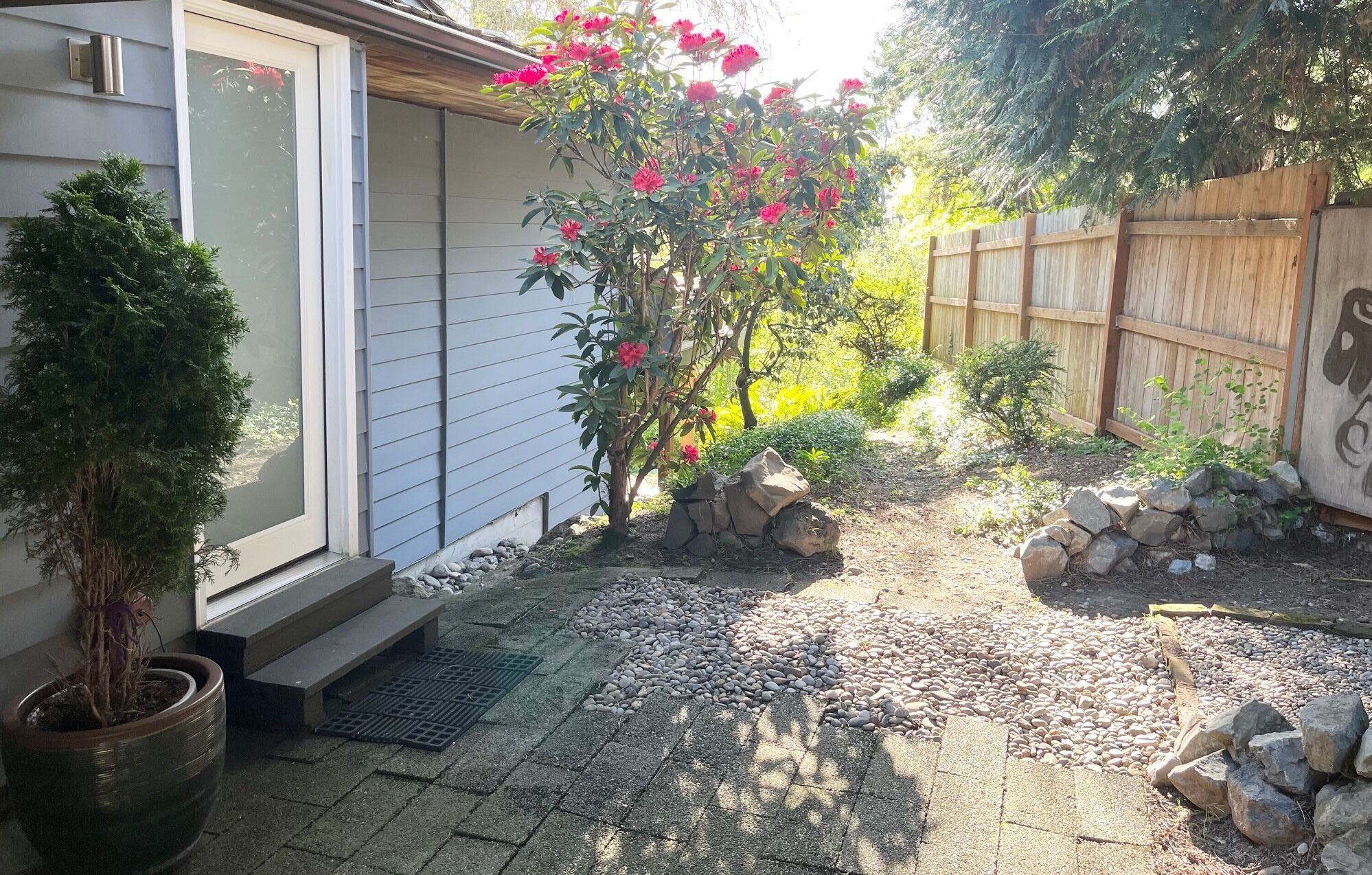 A residential garden with a potted plant, a small rock garden, and a wooden fence.