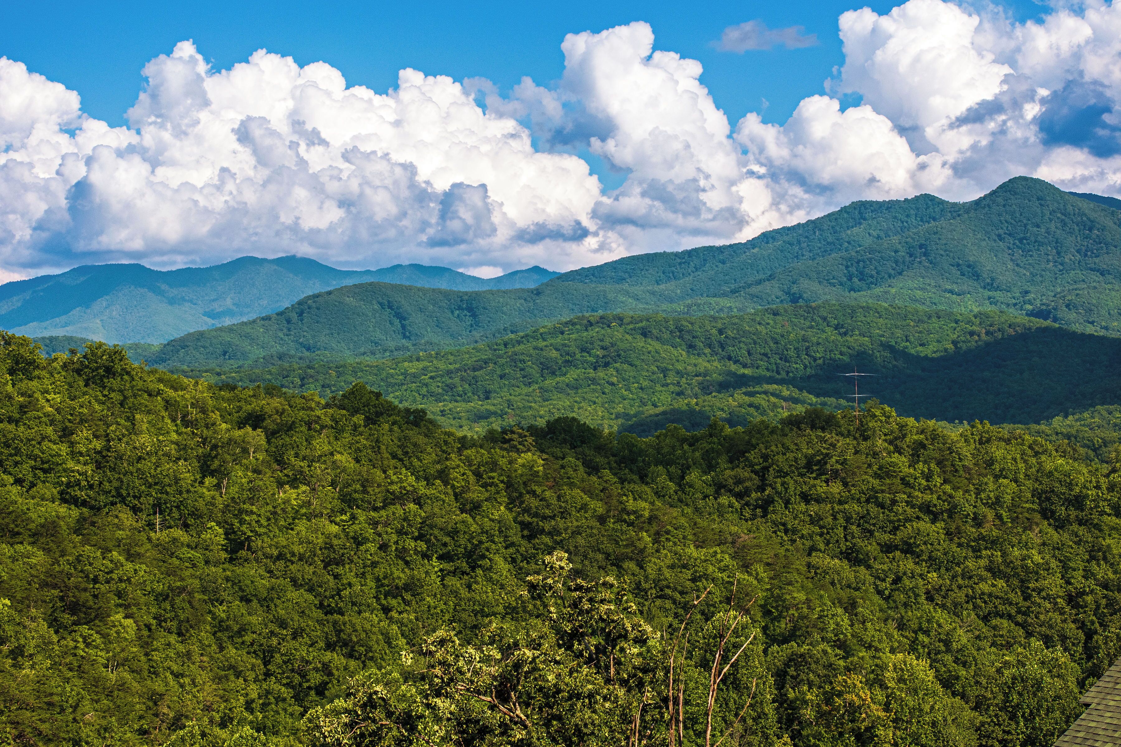 Un paysage montagneux avec de vastes forêts verdoyantes et un ciel dégagé.