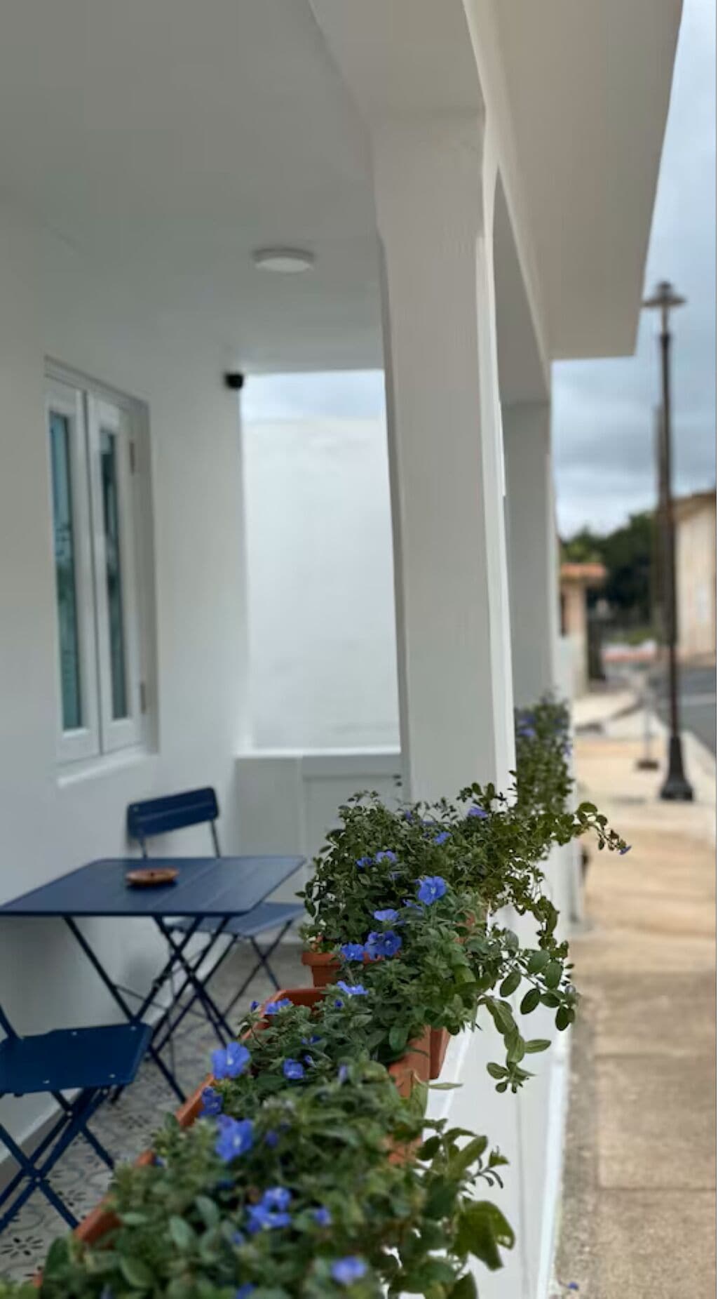 A white building with a covered outdoor area, a table with chairs, and a row of potted plants with blue flowers.