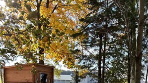 A wooden cabin with a door, surrounded by trees and a path covered with fallen leaves. - SchoolHouse Pent-House (Elkhart Lake)