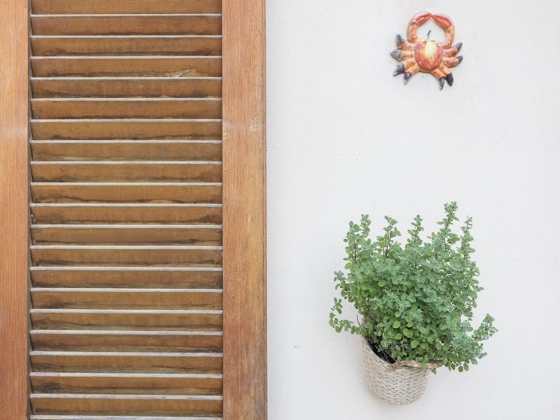 Detalle del exterior