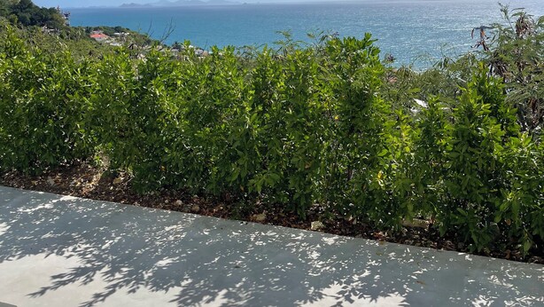 A balcony with a view of the sea and distant mountains. - Modern Ocean View Apartment (Pointe Blanche)