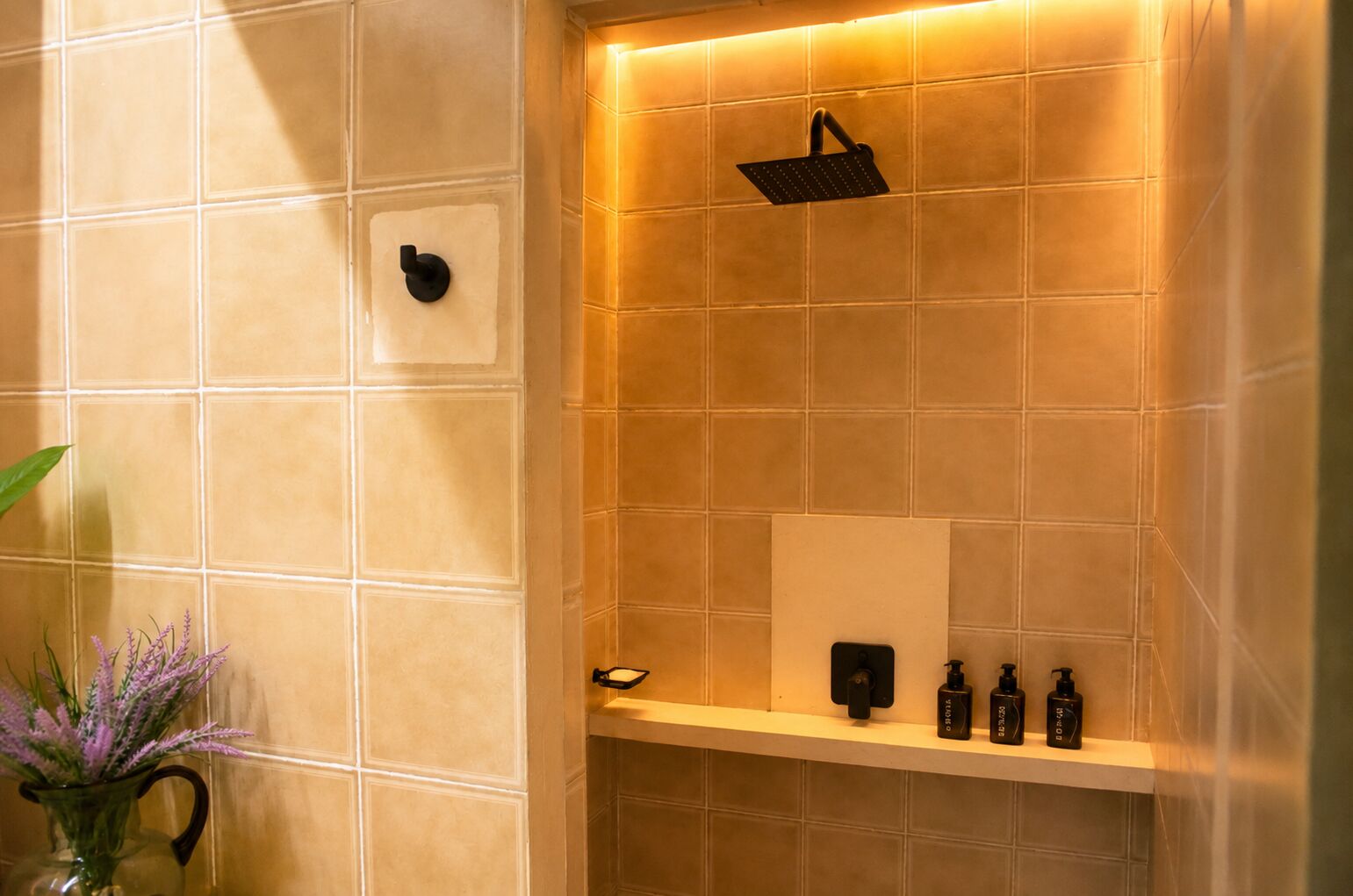Une salle de bain avec une douche, une étagère contenant des articles de toilette et une plante en pot.