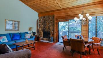 TV, fireplace, books
