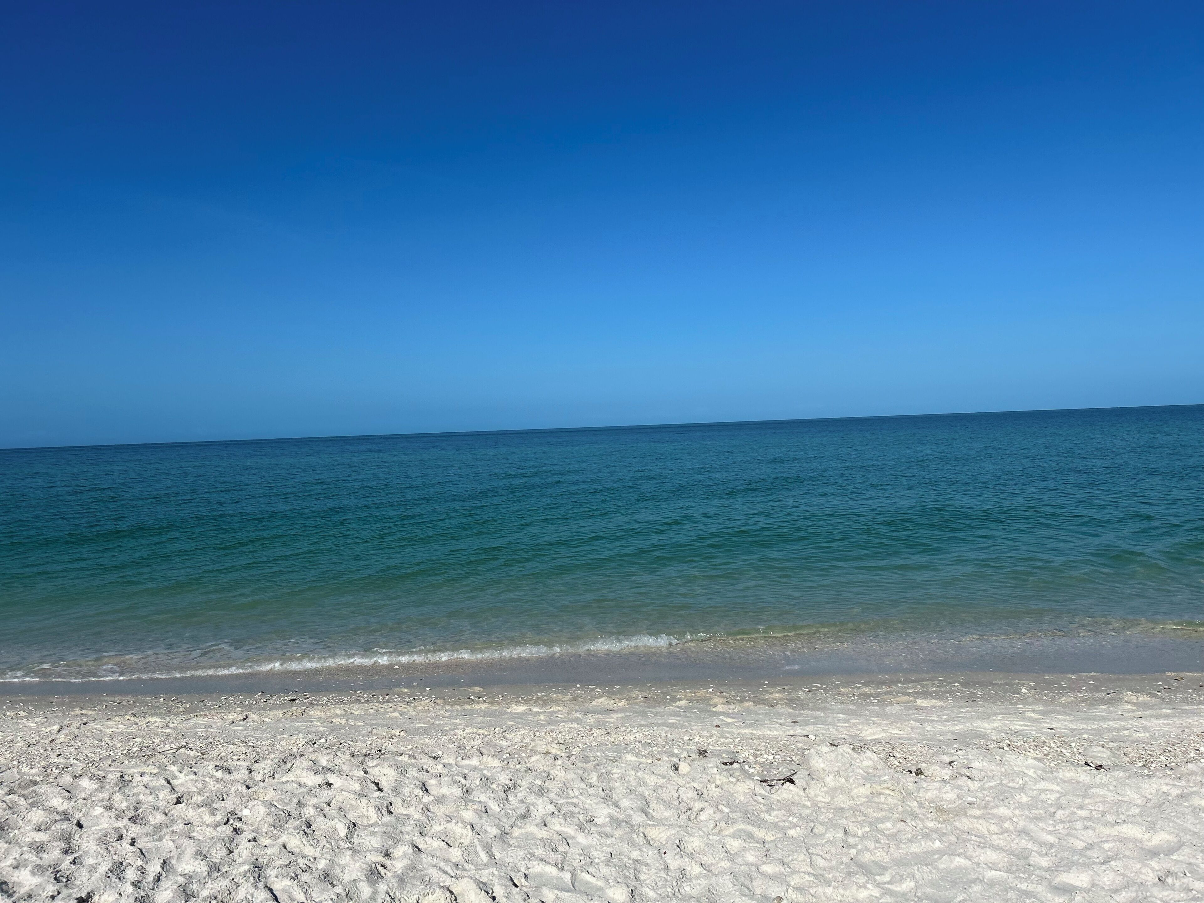 Serviettes de plage