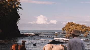 Playa en los alrededores