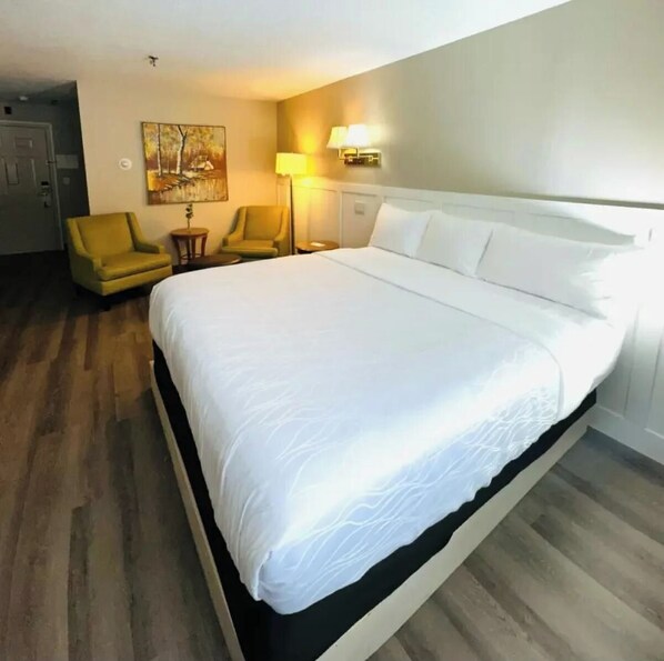 Iron/ironing board, free WiFi, bed sheets