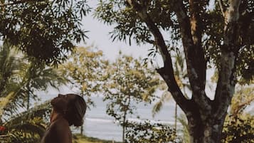 Luxury Penthouse | Property grounds