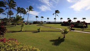 Un campo de golf bien cuidado con cielo despejado, palmeras y vistas al océano.
