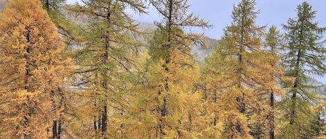 Terrain de lâhĂ©bergement