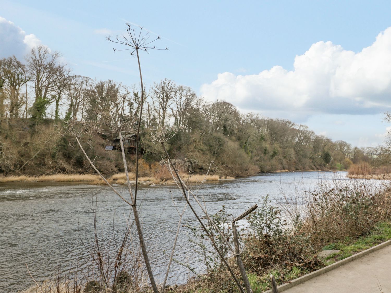 A river with a concrete path alongside, surrounded by trees and vegetation.