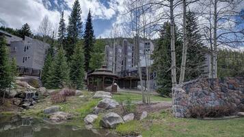 Terrain de l’hébergement