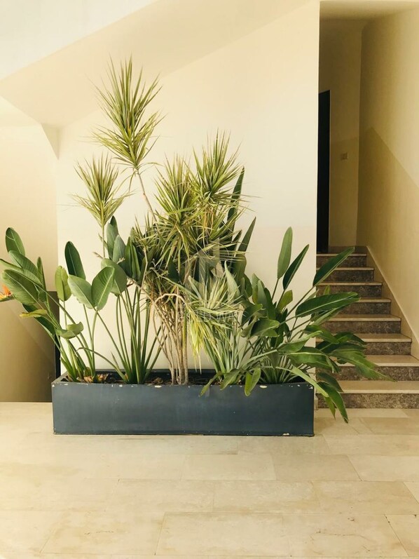 Interior - Chic 2-Bedroom - Fully Furnished (Amman)