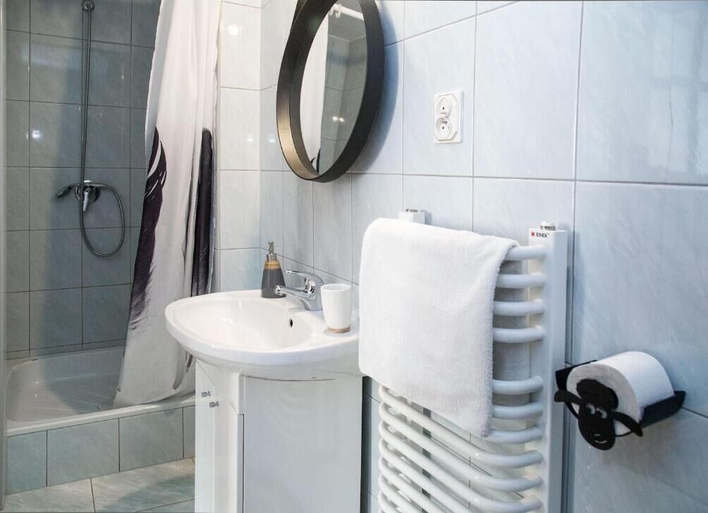 A bathroom with a shower, sink, mirror, towel rack, and toilet paper holder.