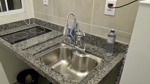 Căn hộ Tiêu chuẩn, quang cảnh thành phố | Bếp riêng | Tủ lạnh, lò vi sóng, bếp nấu, dụng cụ nấu nướng/bát dĩa/dao nĩa 