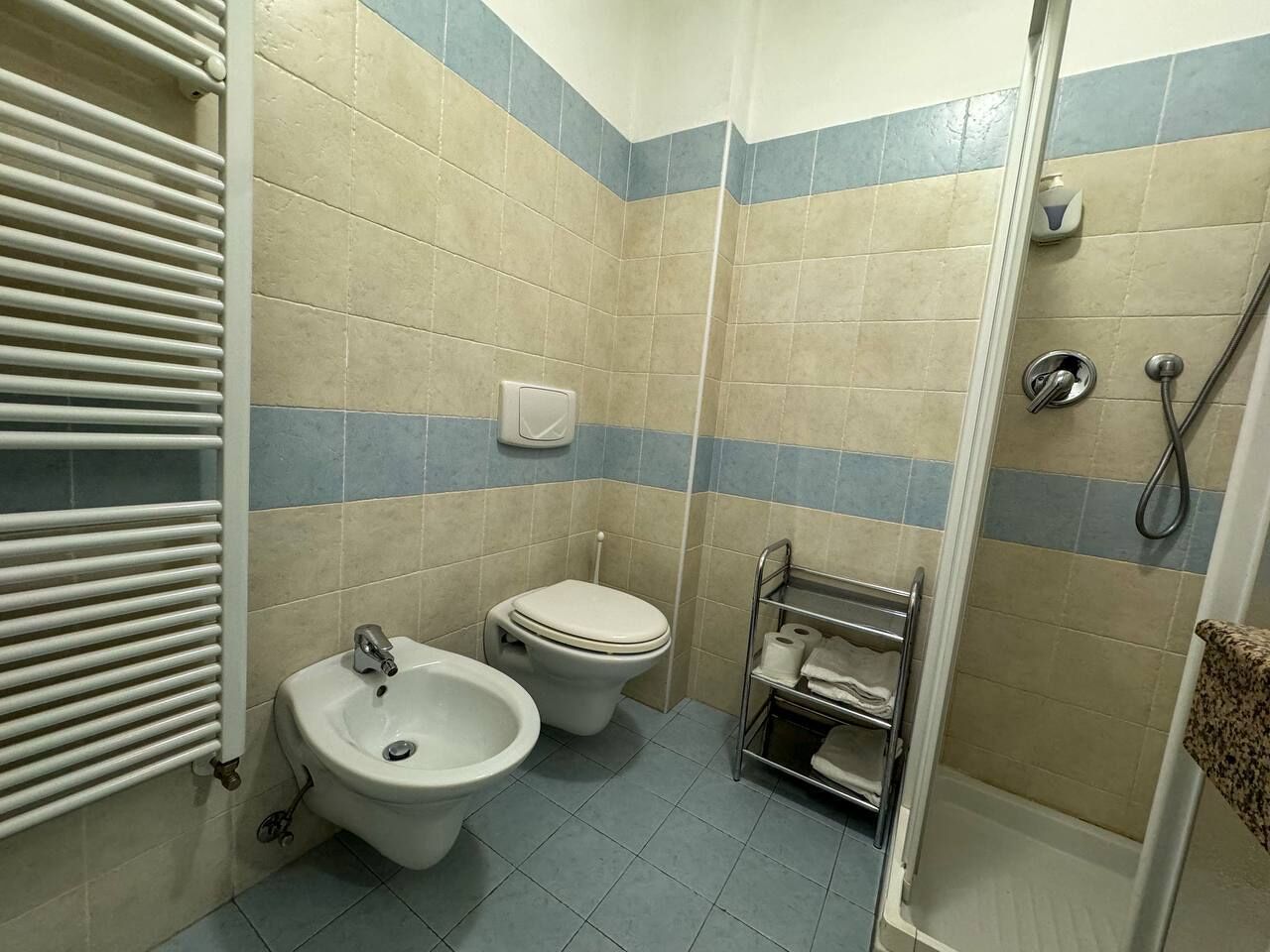 Ein kleines Badezimmer mit integriertem Bidet, Toilette und Handtuchhalter.