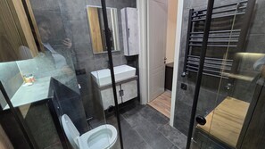 Shower, bidet - 2-bedroom apartment in fantastic Tbilisi with AC and comfort (Tbilisi)