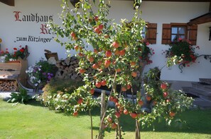 Property grounds - Apartment 'Waxenstein' with Mountain View, Balcony and Wi-Fi (Grainau)