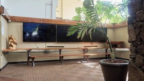 Ein Zimmer mit einer großen Kübelpflanze, hölzernen Bänken und einem flachbildfernseher an der Wand.