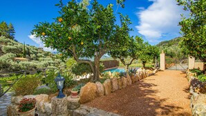 Un chemin de pierre mène à une piscine entourée d’oliviers et de plantes en pot.