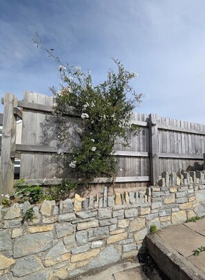 Property grounds - Frog Cottage, located in the heart of Penarth. (Penarth)