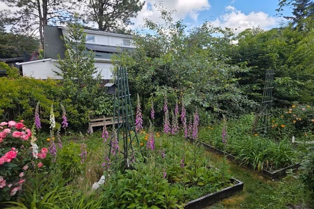 Jardines del alojamiento