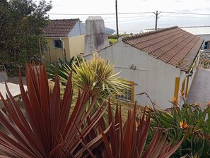 Property grounds - Refuge - "Vivenda Chã" (Ribeira Funda)