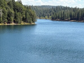 Miscellaneous - Adorable 1-bedroom cottage with AC in charming Foresthill.Located in Todd Valley (Foresthill)