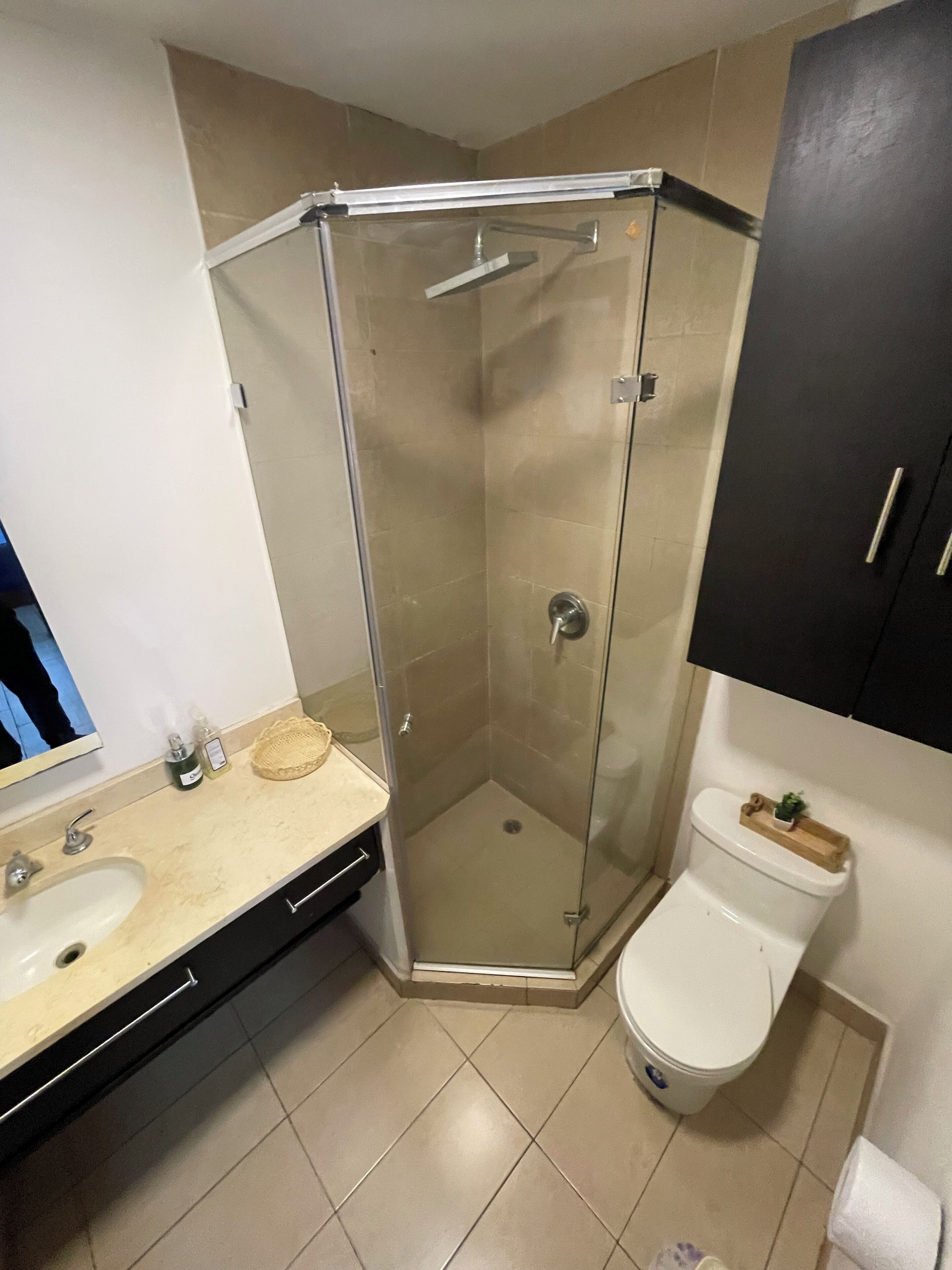 Hair dryer, towels, soap, toilet paper
