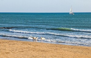 Pesca 