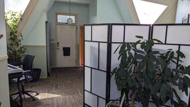 A room with a desk, chair, potted plant, and a partition wall.