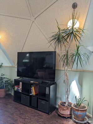 A living room with a flat-screen TV on a black stand, surrounded by potted plants and a ceiling light.