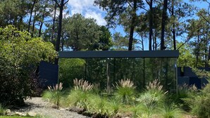 A landscaped garden with a gravel path, green grass, and various shrubs. - Cozy Cabin, Jacuzzi, AC, Fireplace and Hot water. (Jarabacoa)