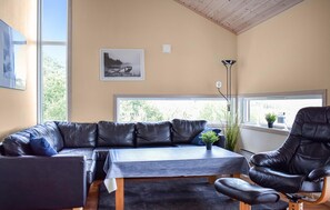 Smart-TV, Kamin