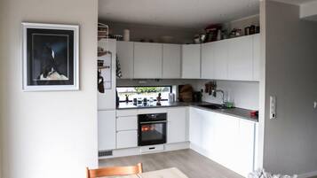 Kaffetrakter/tekoker, kjøleskap, ovn og kokeplater