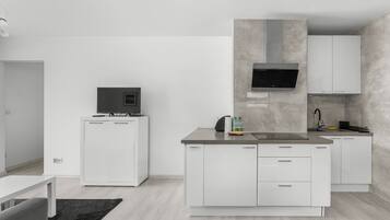 Fridge, stovetop, toaster